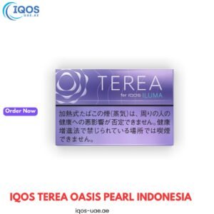 Terea Purple Menthol for Iqos Iluma