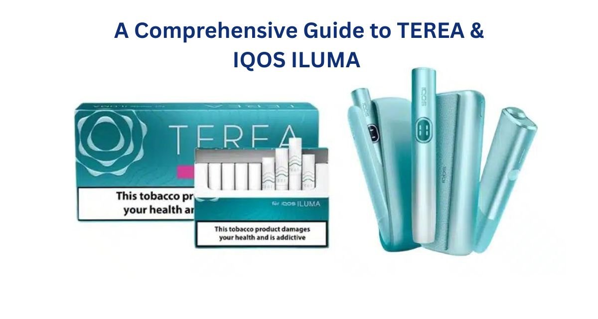 TEREA & IQOS ILUMA Users