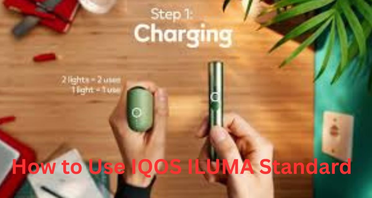 How to Use IQOS ILUMA Standard