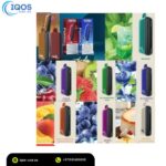 FUMMO Indic 12000 Puffs Disposable Vape