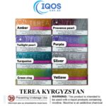 IQOS Terea Kyrgyzstan Tobacco