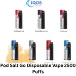 Pod Salt Go Disposable Vape 2500 Puffs