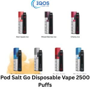Pod Salt Go Disposable Vape 2500 Puffs