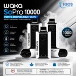 WAKA SoPro 10000 Puffs